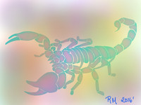 Color