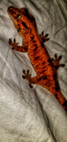 20171026_020251-01