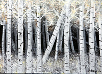 Flagstaff Moments